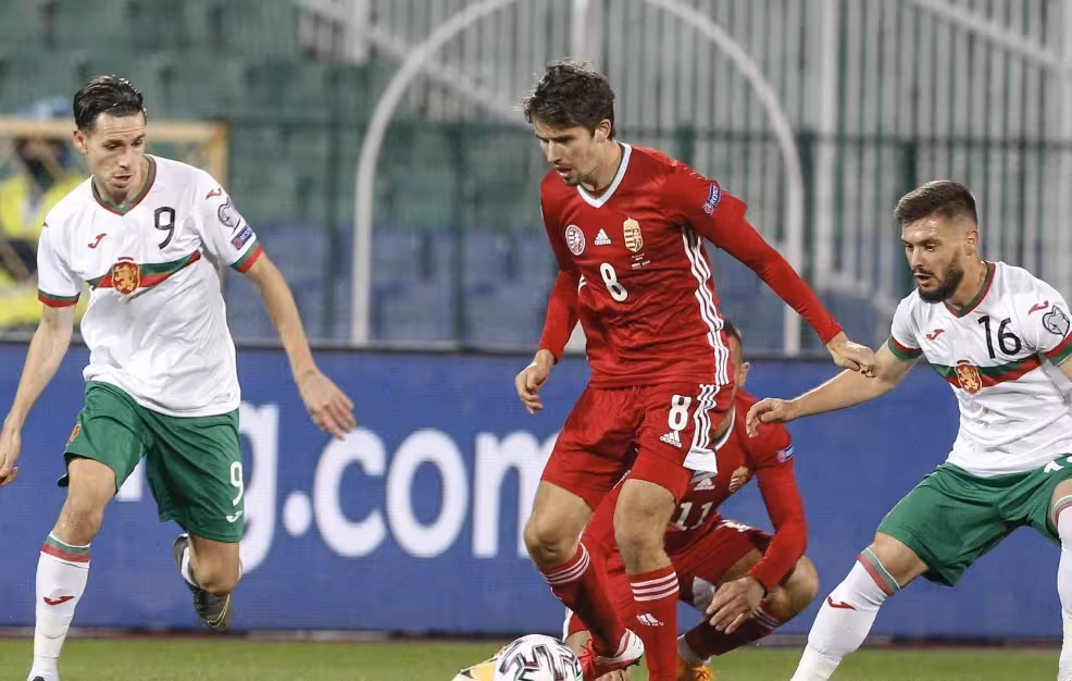 关于法国客场击败保加利亚，锁定欧预赛强席位的信息