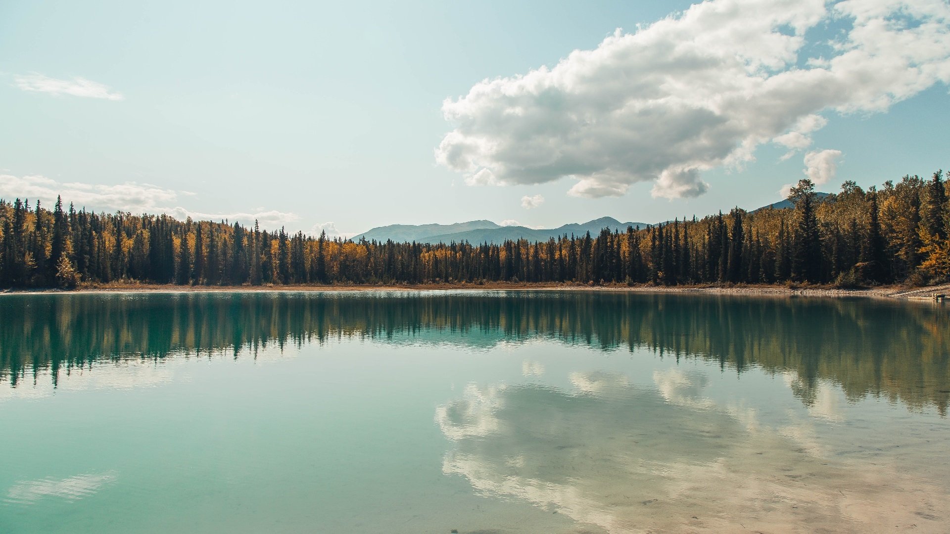 闪耀全场！杜兰特压哨绝杀助新疆险胜雄鹿
