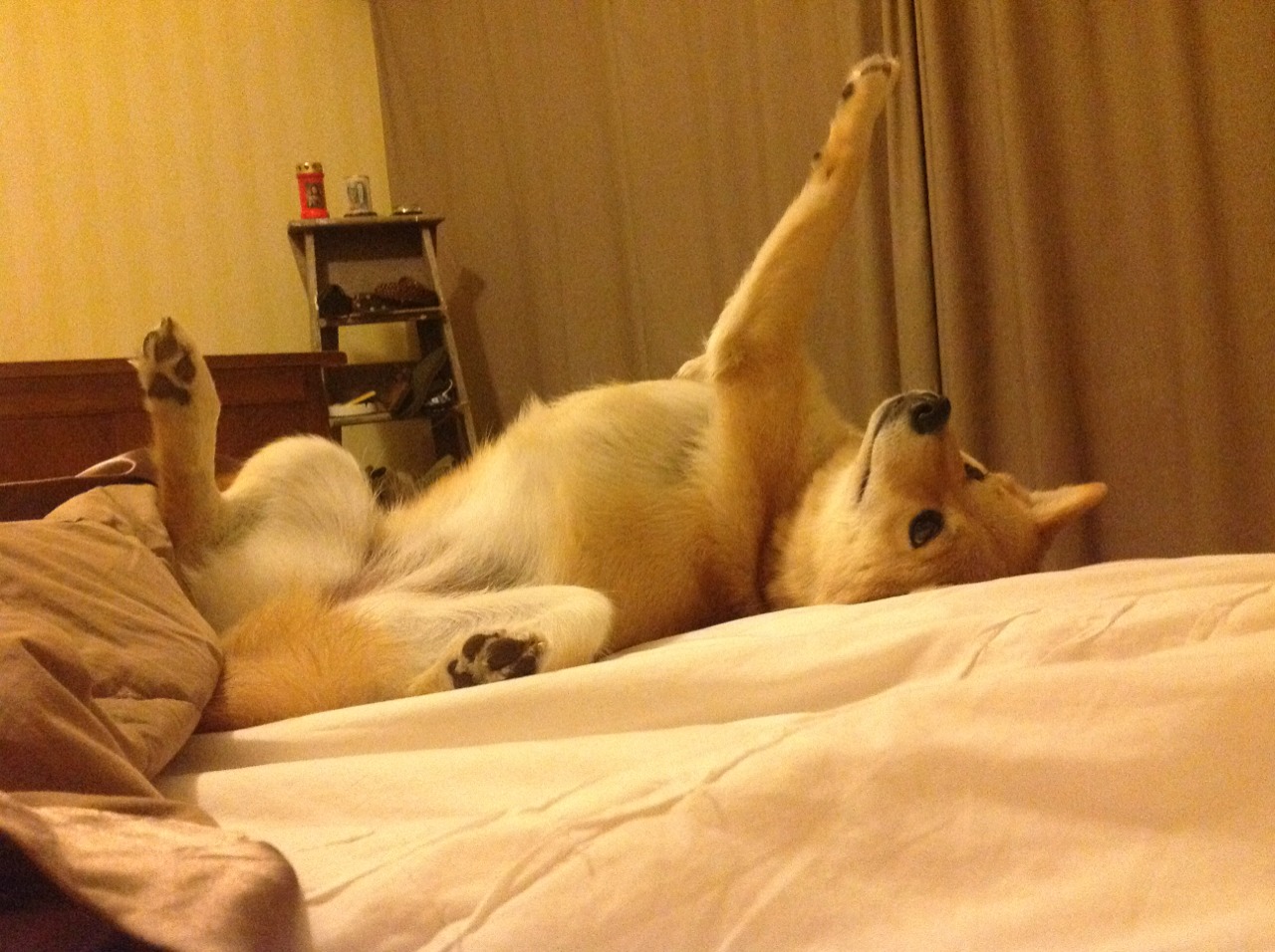 托尼封神！欧冠半决赛之夜一人主宰赛场