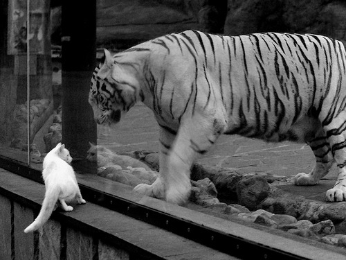 开云体育下载-奥运冲刺的关键一锤，恩比德接管比赛，火箭击溃公牛启示录