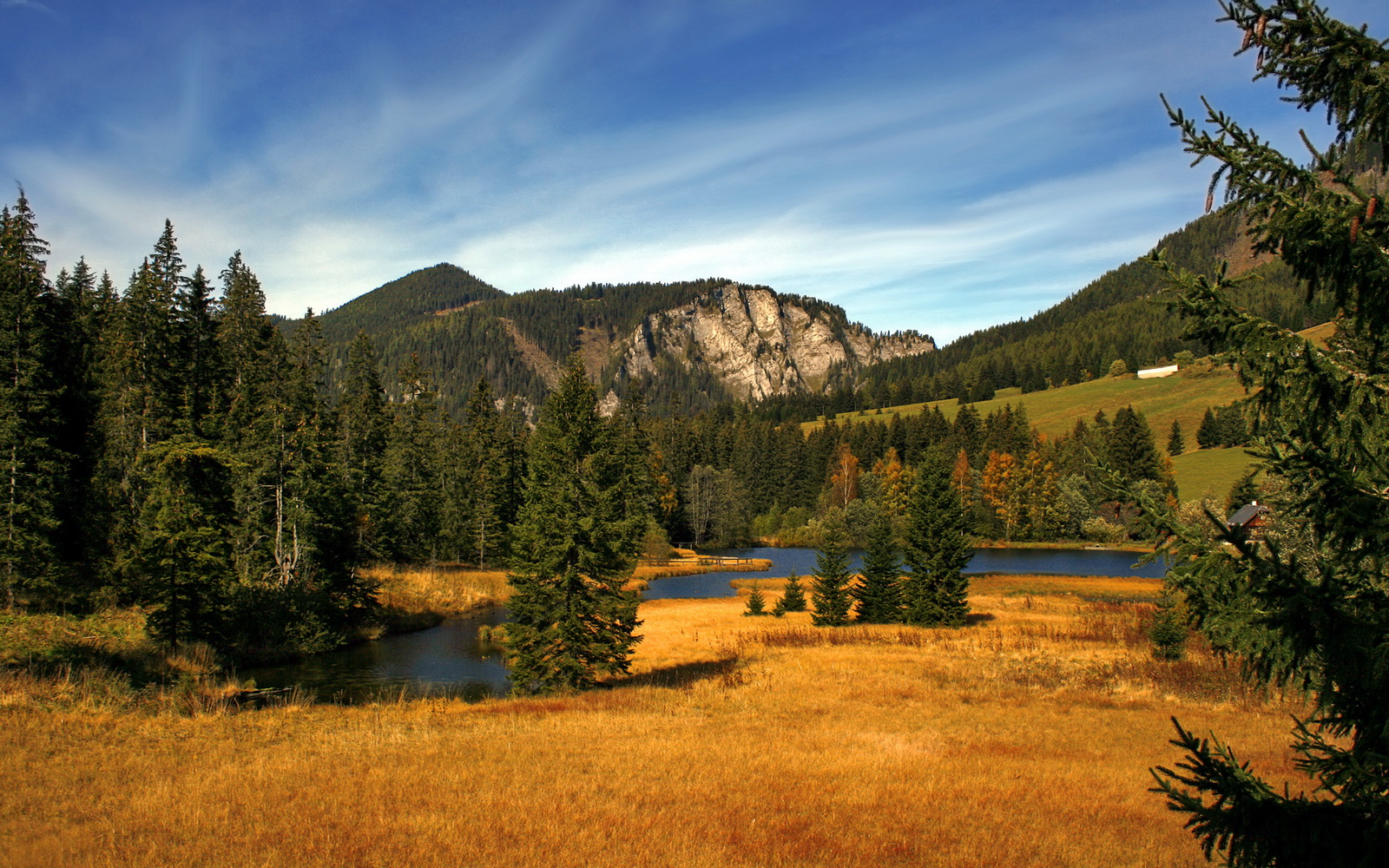 克莱·汤普森上演冰封王座回归，三分15中8轰赛季新高42分，尼克斯主场尽吞鹈鹕苦果