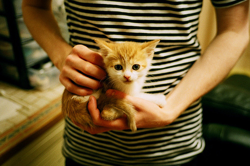 开云体育下载-步行者三连胜！西亚卡姆致命补篮杀死爵士，印第安纳找到季后赛秘钥？