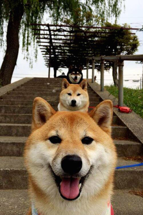 霍勒迪跨越边界，一场想象中的统治，证明防守的艺术从未凋零