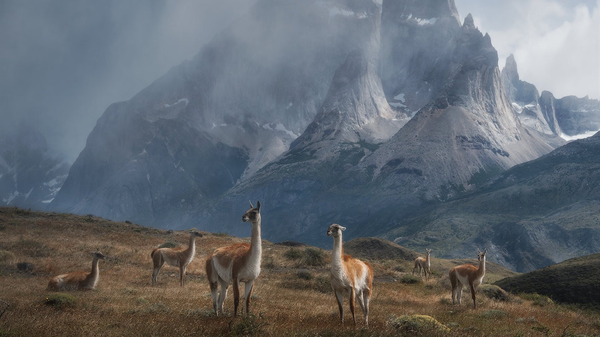 德甲争冠夜，孤胆英雄迪亚斯如何颠覆天平