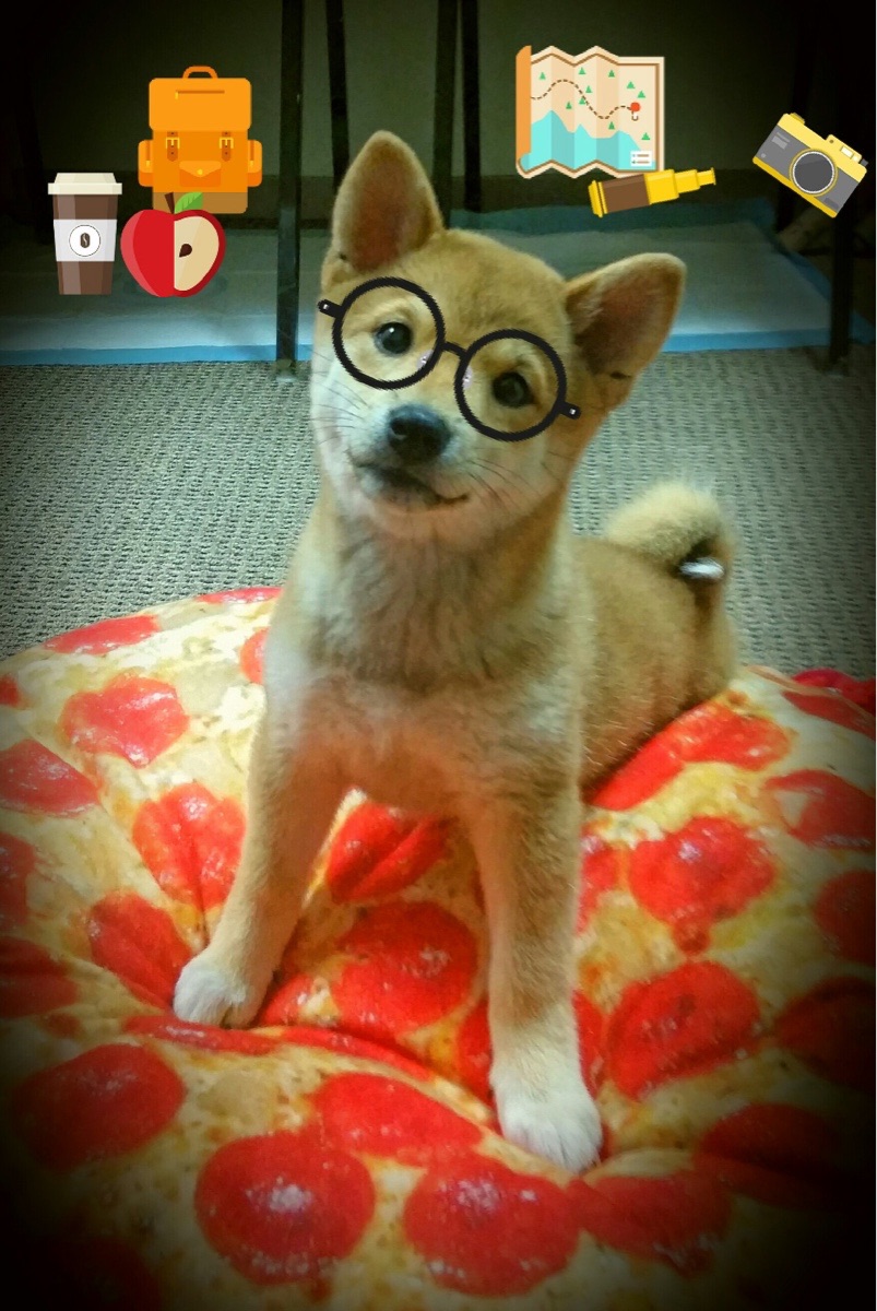 开云体育官方网站-铁锁与尖刀，论团队坚壁与个人锋芒如何共塑竞技史诗