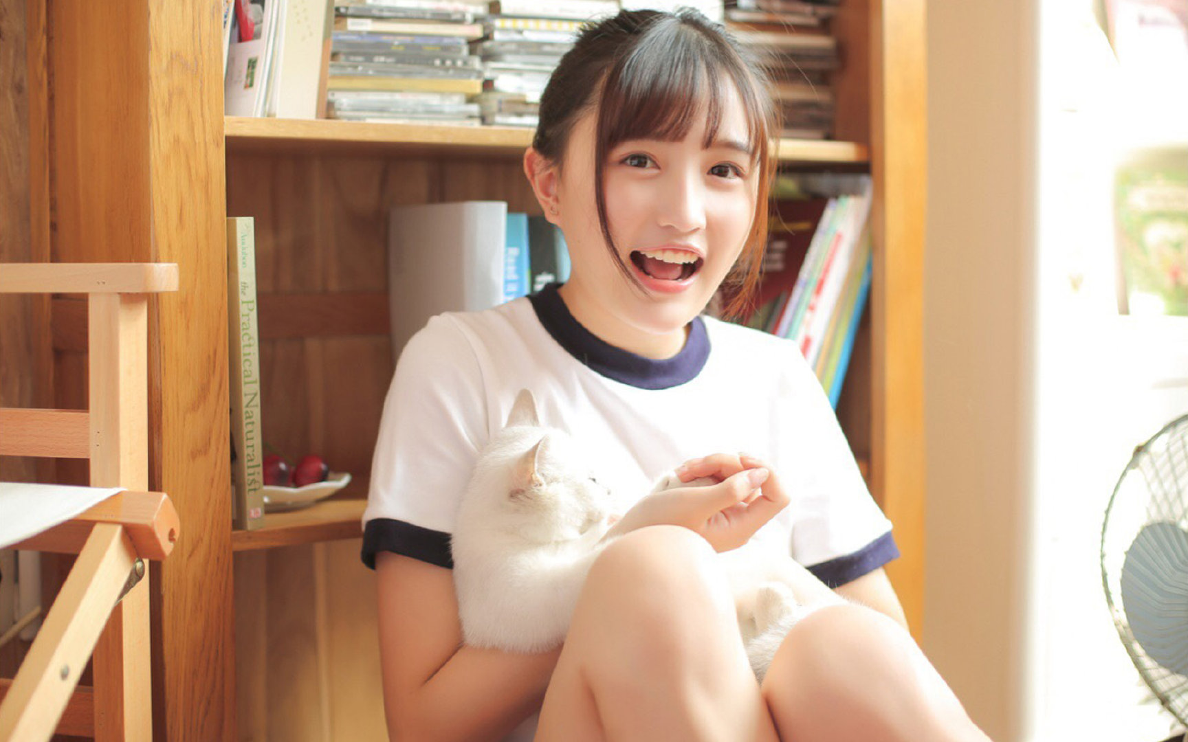 波斯铁骑与雷鬼风暴，数据背后，恩佐如何引爆足球新冷战？