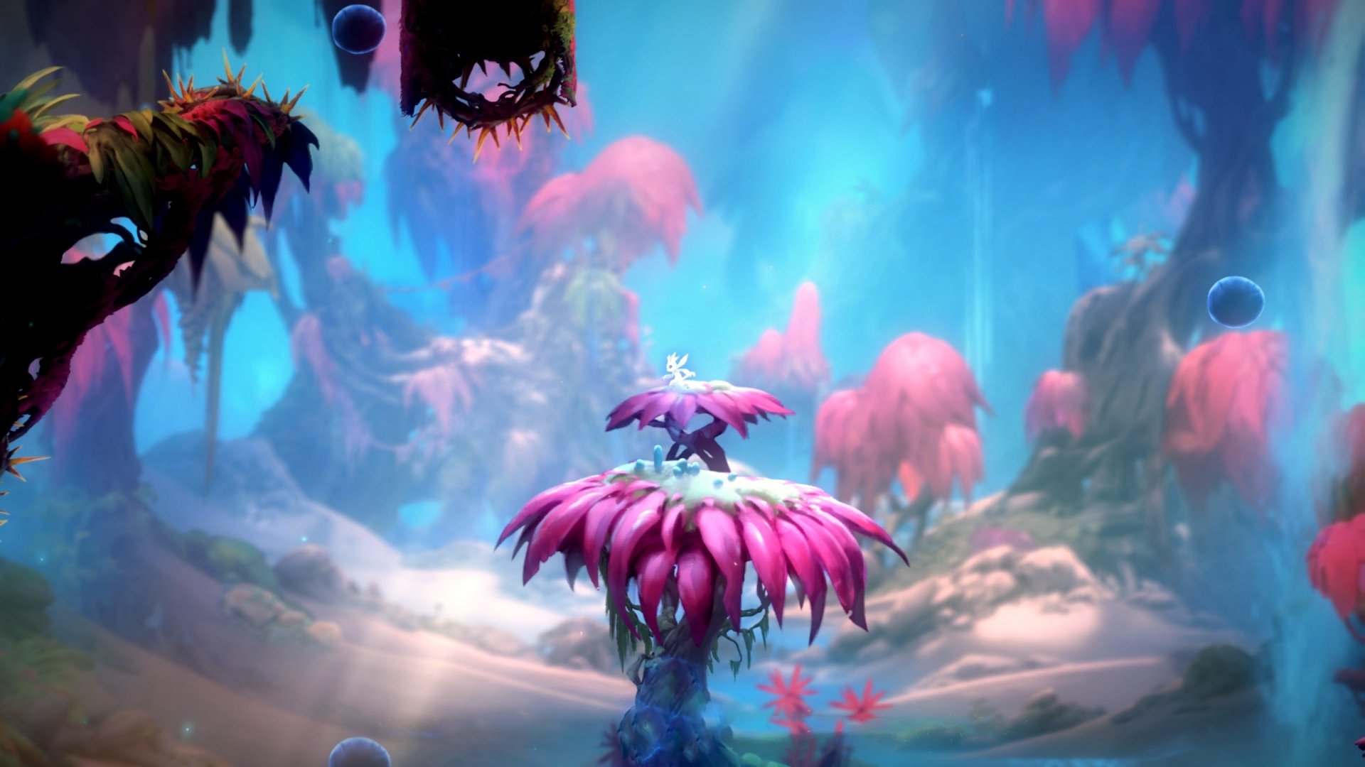 开云体育官方网站-北京浙江激战正酣，约基奇却在丹佛刷新历史