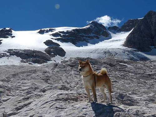 极限周日，引擎咆哮与绿茵狂舞—当F1街道赛的硝烟遇上米兰对尤文的血脉贲张