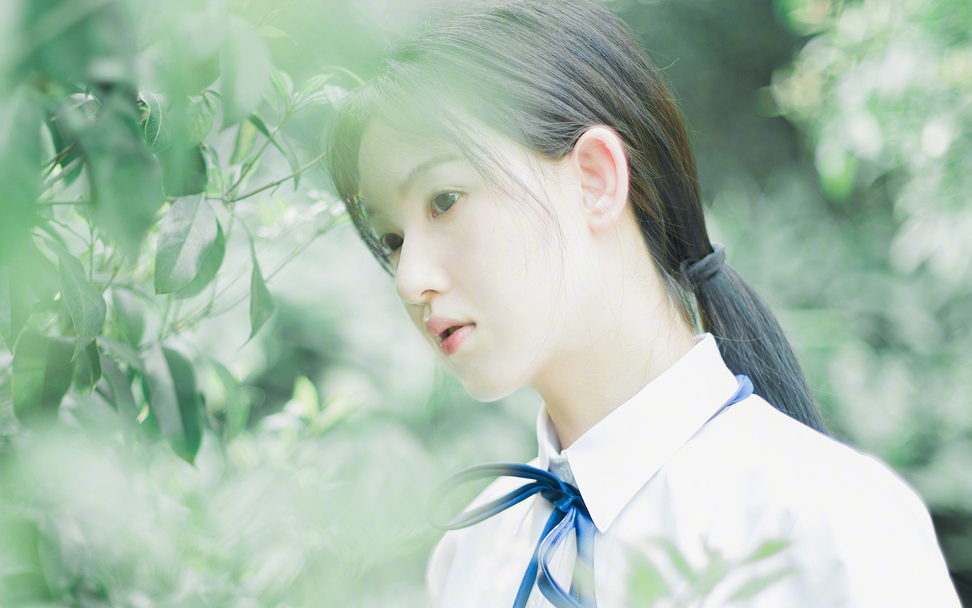 贝恩熄巨勇占席,昔日副手如何撕碎勇士王朝最后的骄傲?